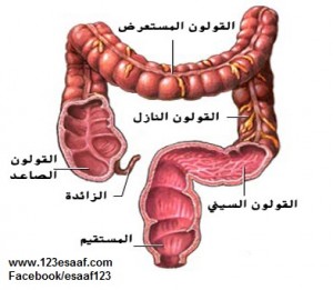 www.123esaaf.com
