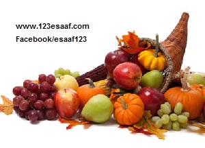 www.123esaaf.com