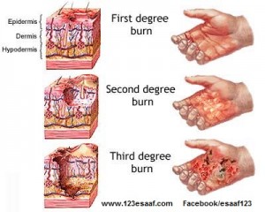 www.123esaaf.com