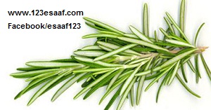 www.123esaaf.com