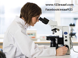 www.123esaaf.com
