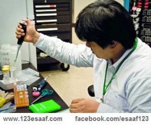 www.123esaaf.com