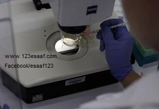 www.123esaaf.com