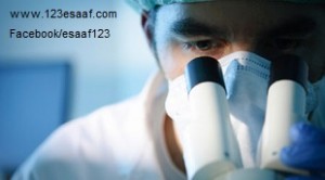 www.123esaaf.com