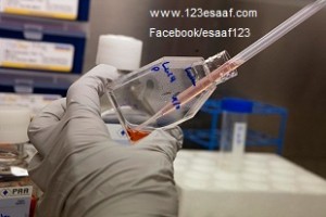 www.123esaaf.com
