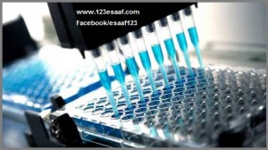 www.123esaaf.com