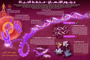 اضغط على الصورة لمشاهدة حجمها الاصلي