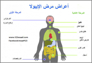 www.123esaaf.com