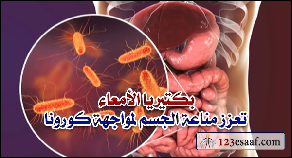 بكتيريا الأمعاء تعزز مناعة الجسم لمواجهة كورونا