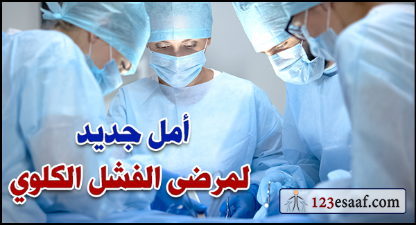 أمل جديد لمرضى الفشل الكلوي