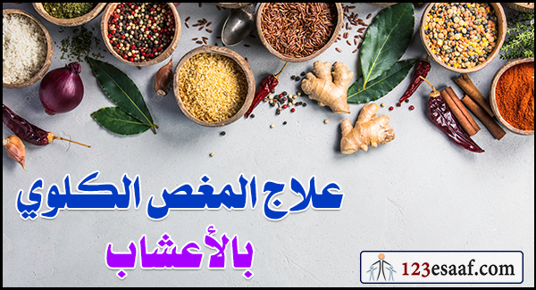 علاج المغص الكلوي بالأعشاب