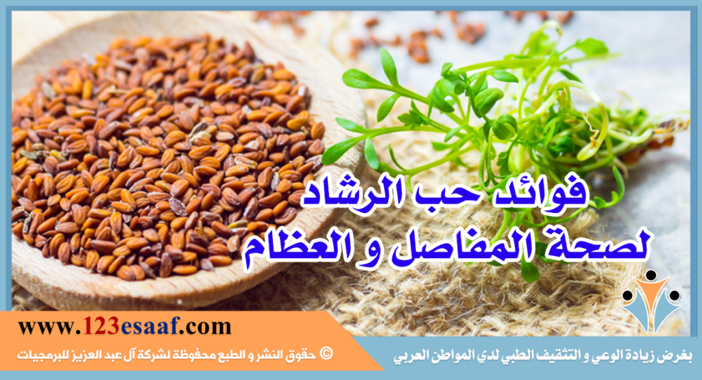 فوائد حب الرشاد لصحة المفاصل و العظام